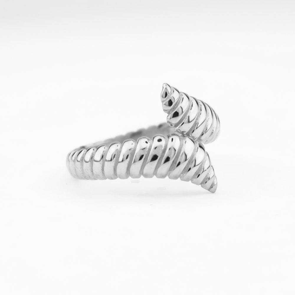 Zilveren ring