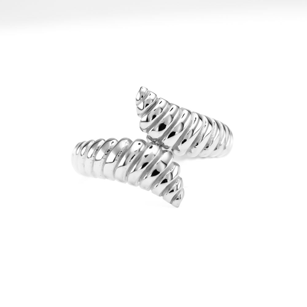 Zilveren ring