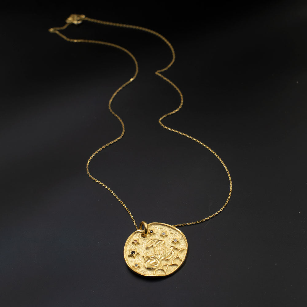 Ram sterrenbeeld hanger met ketting BLAR036